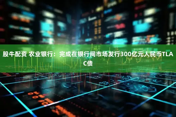股牛配资 农业银行：完成在银行间市场发行300亿元人民币TLAC债